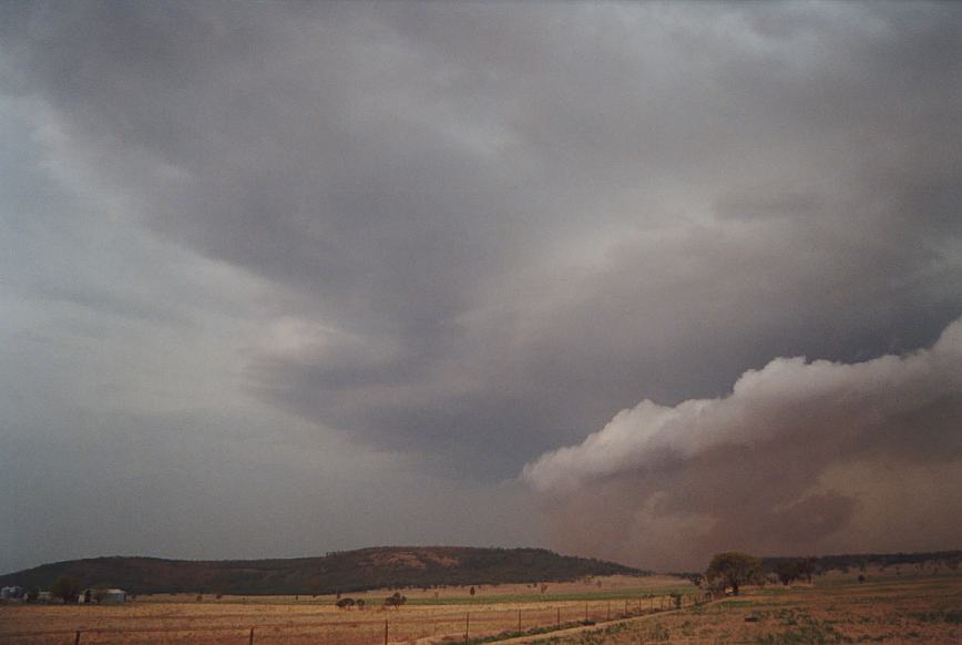 cumulonimbus thunderstorm_base : N of Boggabri, NSW   23 December 2002