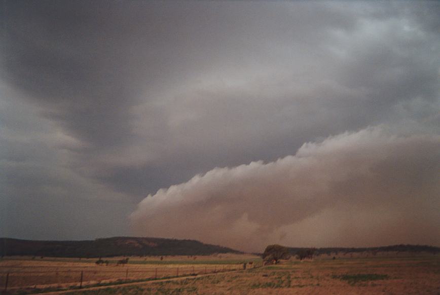 cumulonimbus thunderstorm_base : N of Boggabri, NSW   23 December 2002