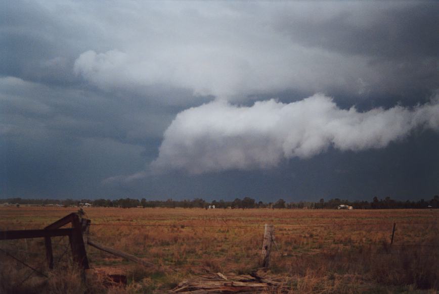 cumulonimbus supercell_thunderstorm : Narrabri, NSW   23 December 2002