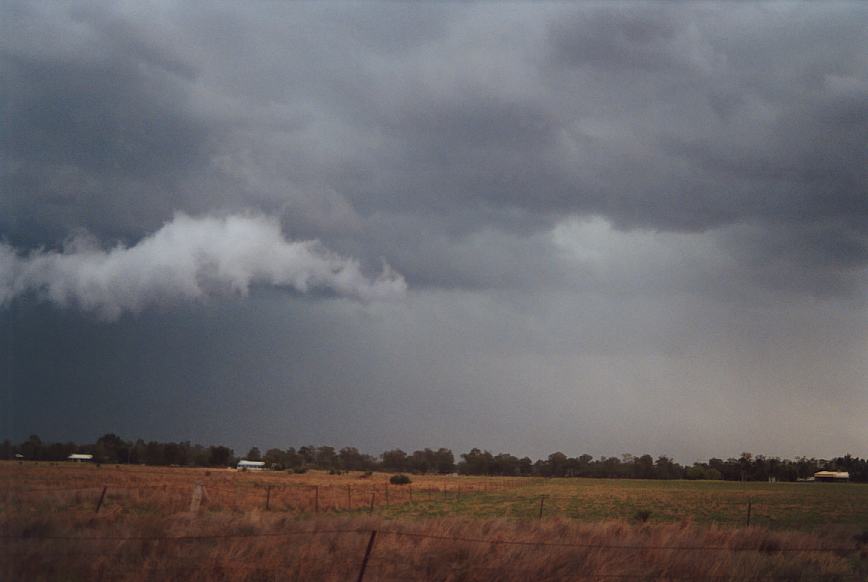 cumulonimbus thunderstorm_base : Narrabri, NSW   23 December 2002