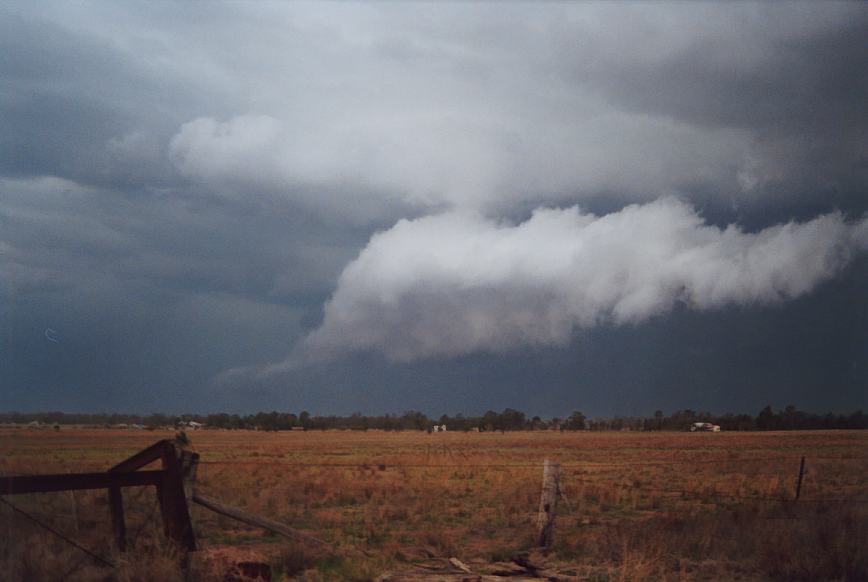 cumulonimbus thunderstorm_base : Narrabri, NSW   23 December 2002