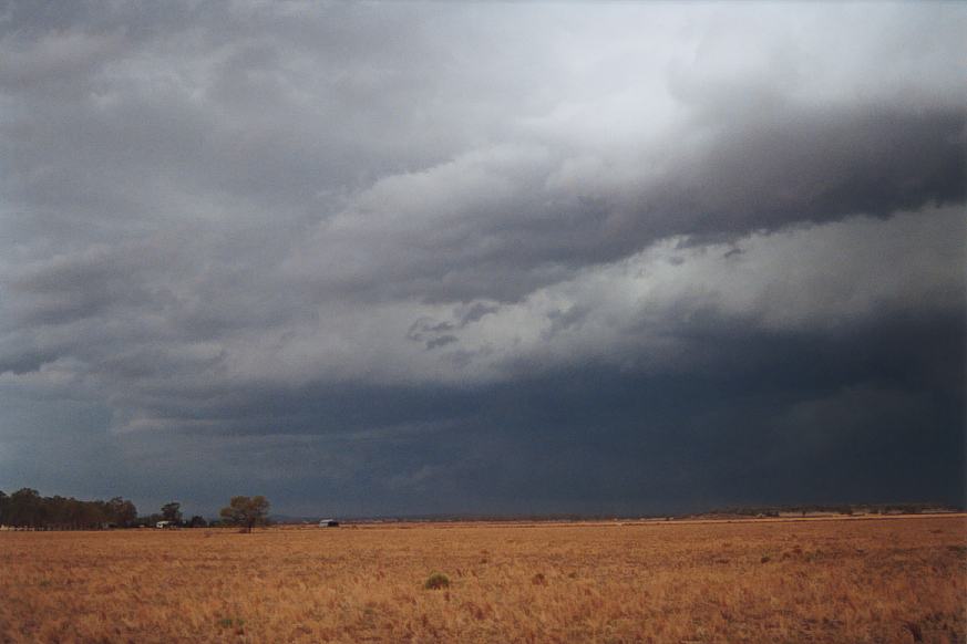 cumulonimbus thunderstorm_base : Narrabri, NSW   23 December 2002