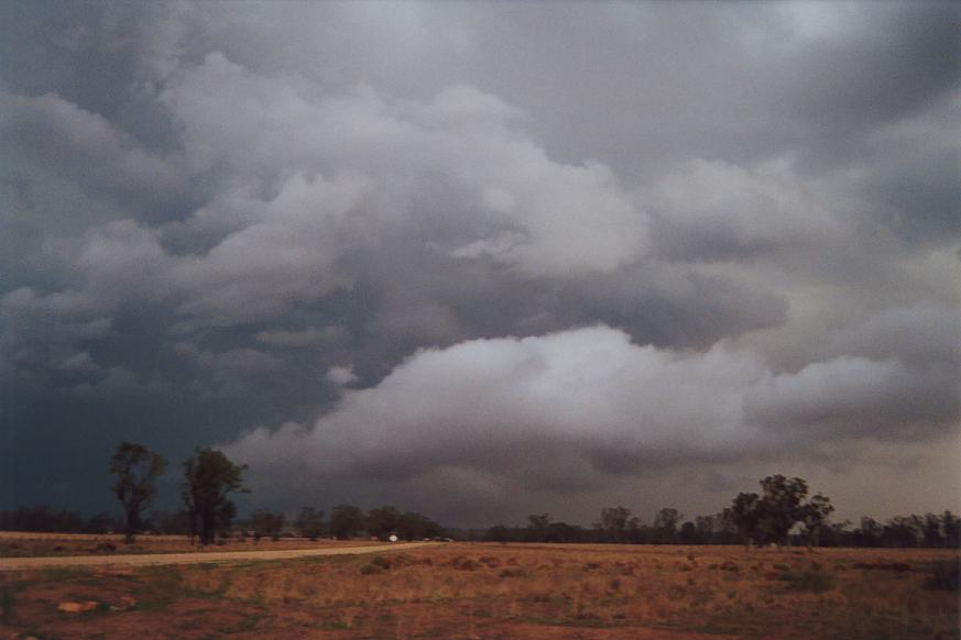 cumulonimbus thunderstorm_base : E of Narrabri, NSW   23 December 2002