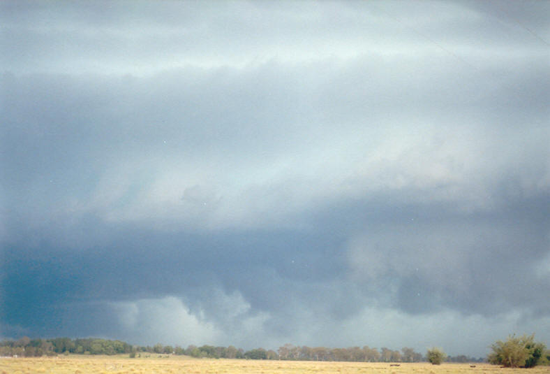 cumulonimbus thunderstorm_base : Coraki, NSW   24 December 2002