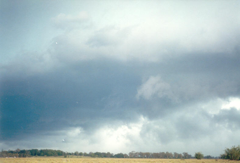 cumulonimbus thunderstorm_base : Coraki, NSW   24 December 2002