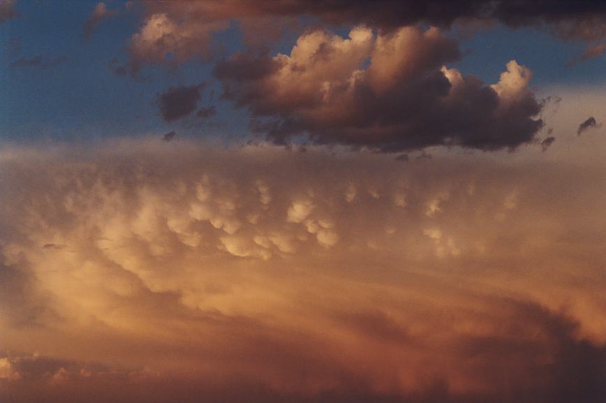 mammatus mammatus_cloud : Schofields, NSW   7 January 2003