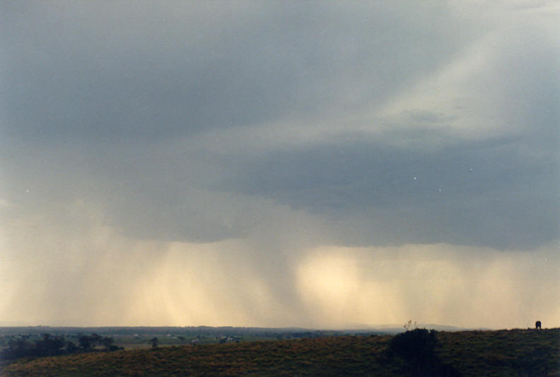 cumulonimbus thunderstorm_base : Parrots Nest, NSW   8 January 2003