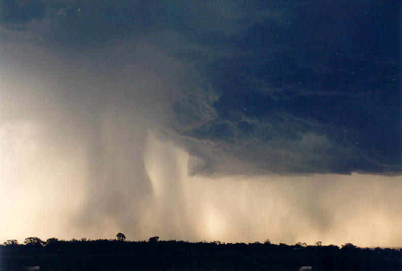 cumulonimbus thunderstorm_base : Parrots Nest, NSW   8 January 2003