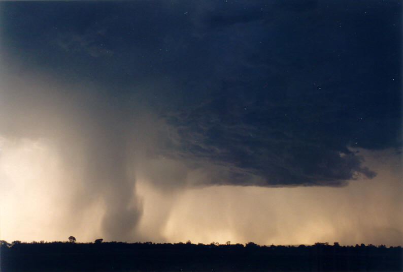 cumulonimbus thunderstorm_base : Parrots Nest, NSW   8 January 2003