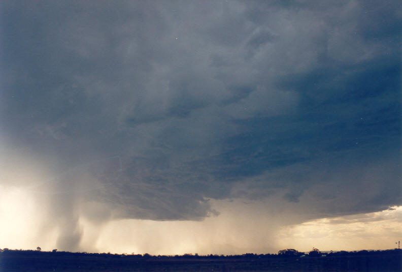 microburst micro_burst : Parrots Nest, NSW   8 January 2003