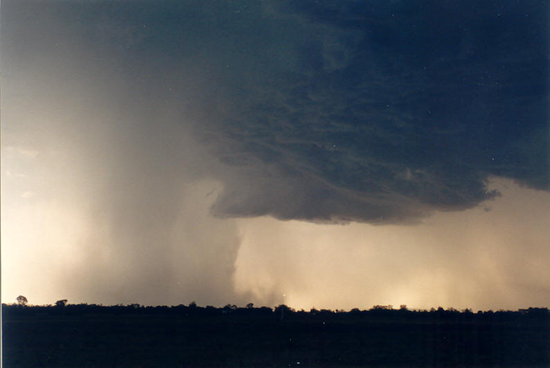 cumulonimbus thunderstorm_base : Parrots Nest, NSW   8 January 2003