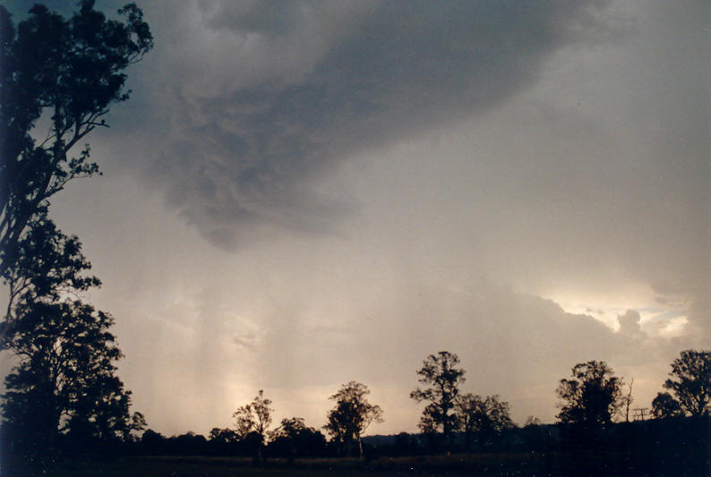 raincascade precipitation_cascade : Kyogle, NSW   19 January 2003