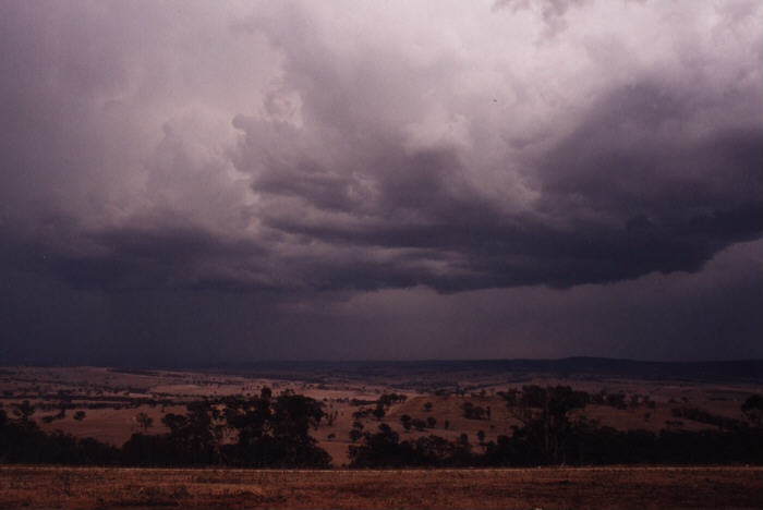 contributions received : Bathurst, NSW<BR>Photo by Jeff Brislane   8 February 2003