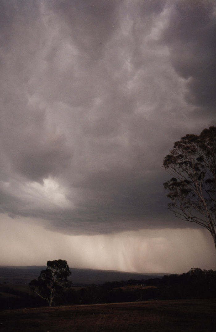 contributions received : Bathurst, NSW<BR>Photo by Jeff Brislane   8 February 2003