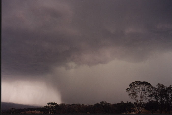 contributions received : Bathurst, NSW<BR>Photo by Jeff Brislane   8 February 2003