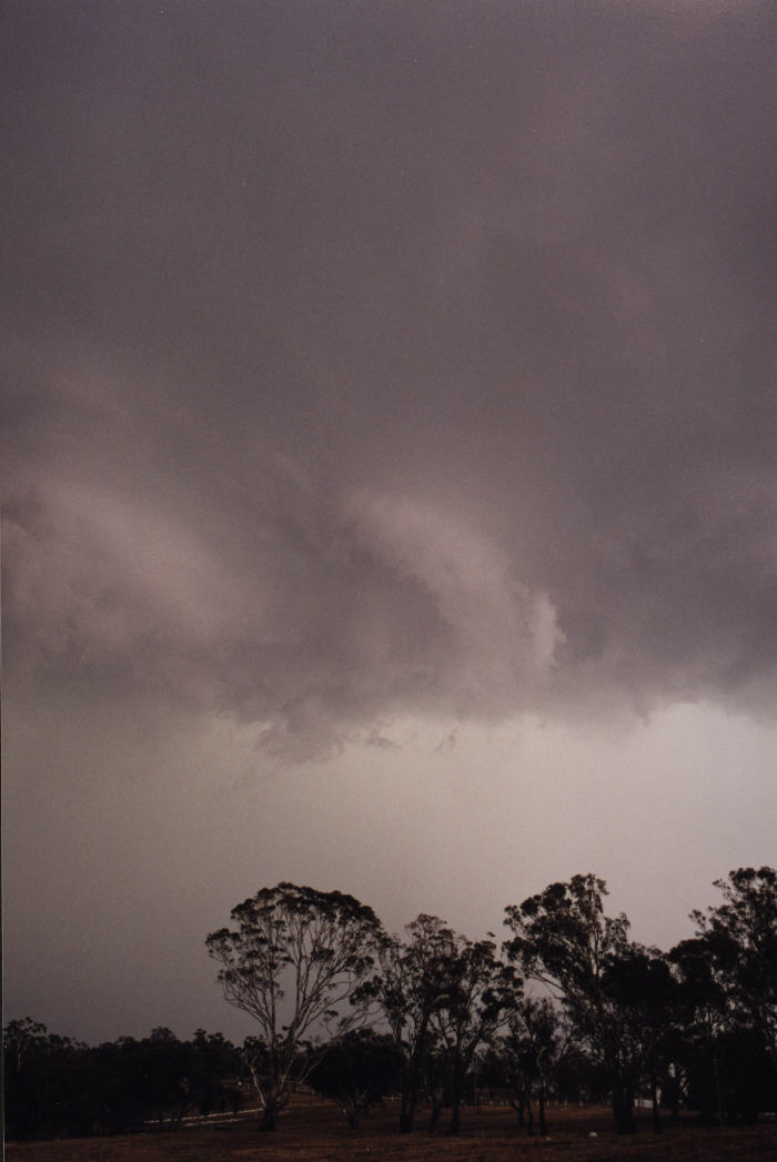 contributions received : Bathurst, NSW<BR>Photo by Jeff Brislane   8 February 2003