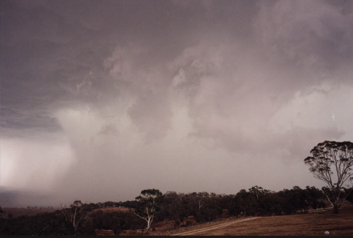 contributions received : Bathurst, NSW<BR>Photo by Jeff Brislane   8 February 2003