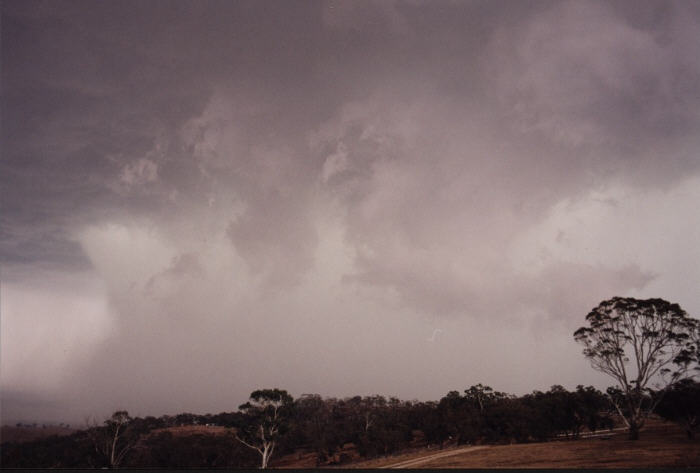 contributions received : Bathurst, NSW<BR>Photo by Jeff Brislane   8 February 2003