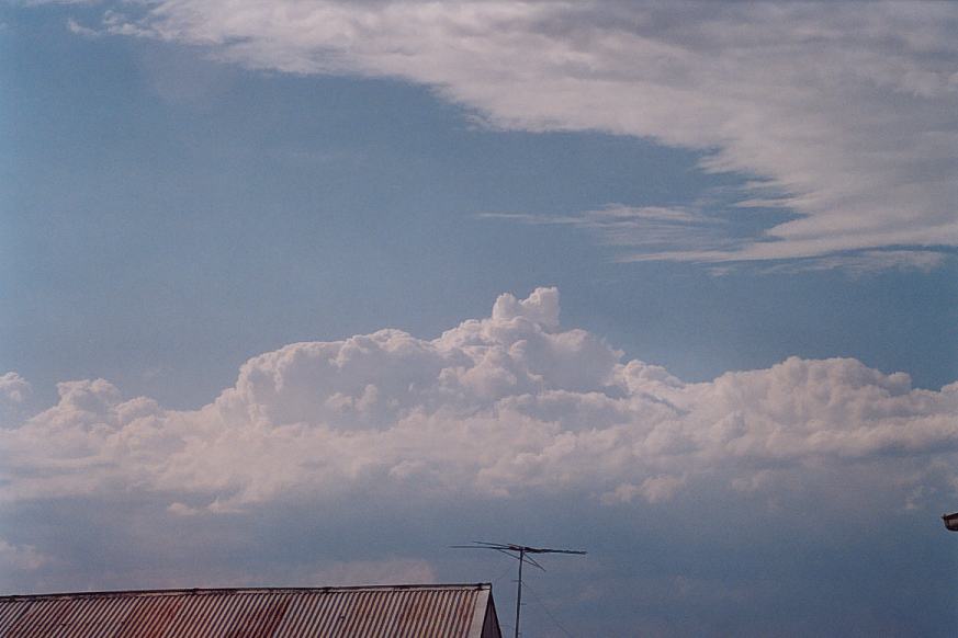 contributions received : Schofields, NSW<BR>Photo by Geoffrey Thurtell   12 February 2003