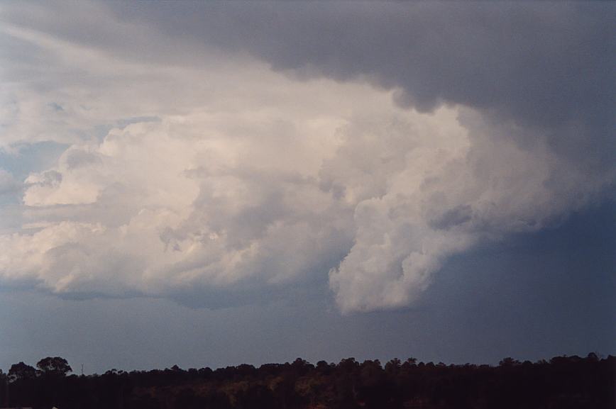 updraft thunderstorm_updrafts : Schofields, NSW   12 February 2003