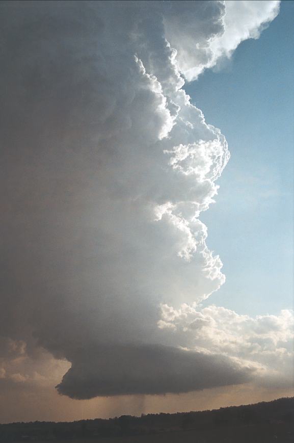 updraft thunderstorm_updrafts : Camden, NSW   12 February 2003