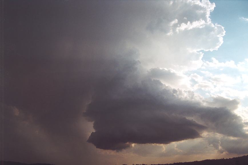 updraft thunderstorm_updrafts : Camden, NSW   12 February 2003