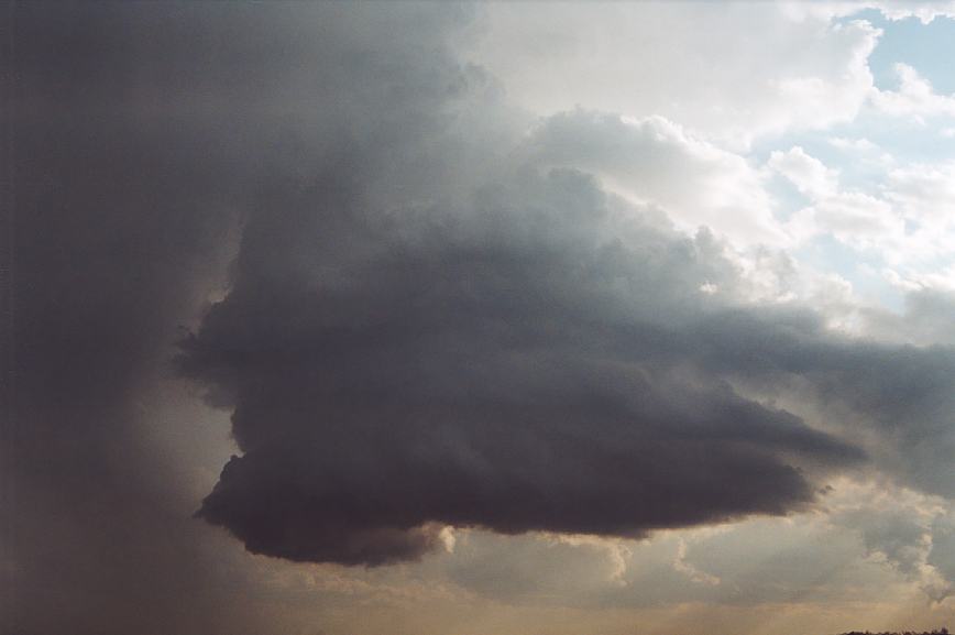 cumulonimbus supercell_thunderstorm : Camden, NSW   12 February 2003