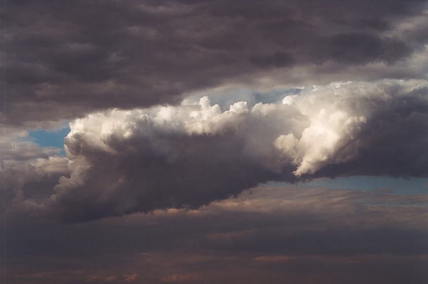 cumulus mediocris : Schofields, NSW   13 February 2003