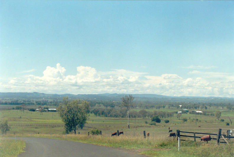 cumulus congestus : SE QLD   23 February 2003