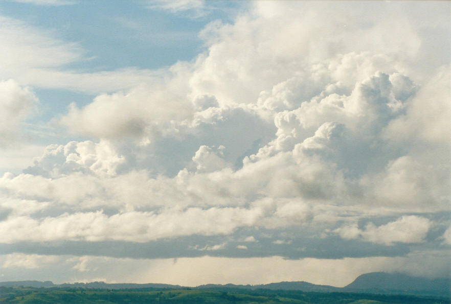 thunderstorm cumulonimbus_incus : McLeans Ridges, NSW   23 February 2003