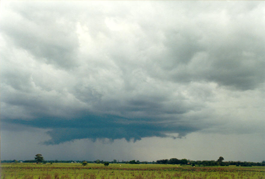 cumulonimbus thunderstorm_base : E of Casino, NSW   1 March 2003