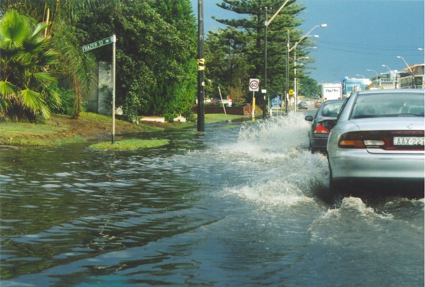 contributions received : Northern Beaches, NSW<BR>Photo by Judy Mayo   10 March 2003