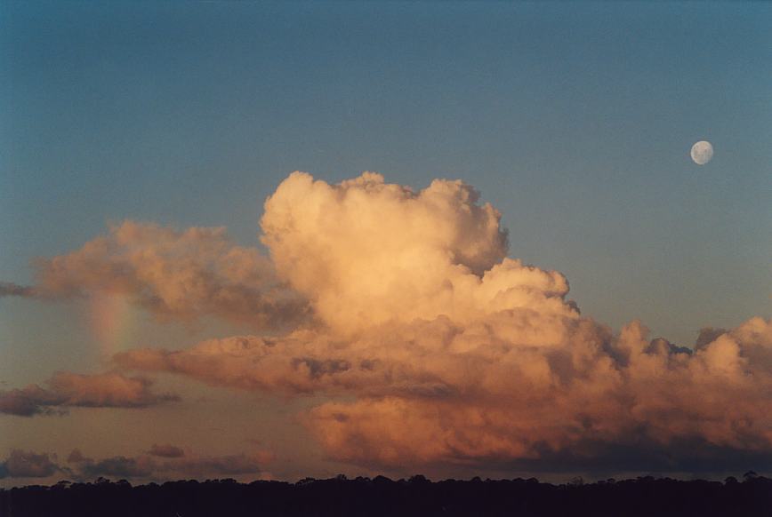 cumulus mediocris : Schofields, NSW   16 March 2003