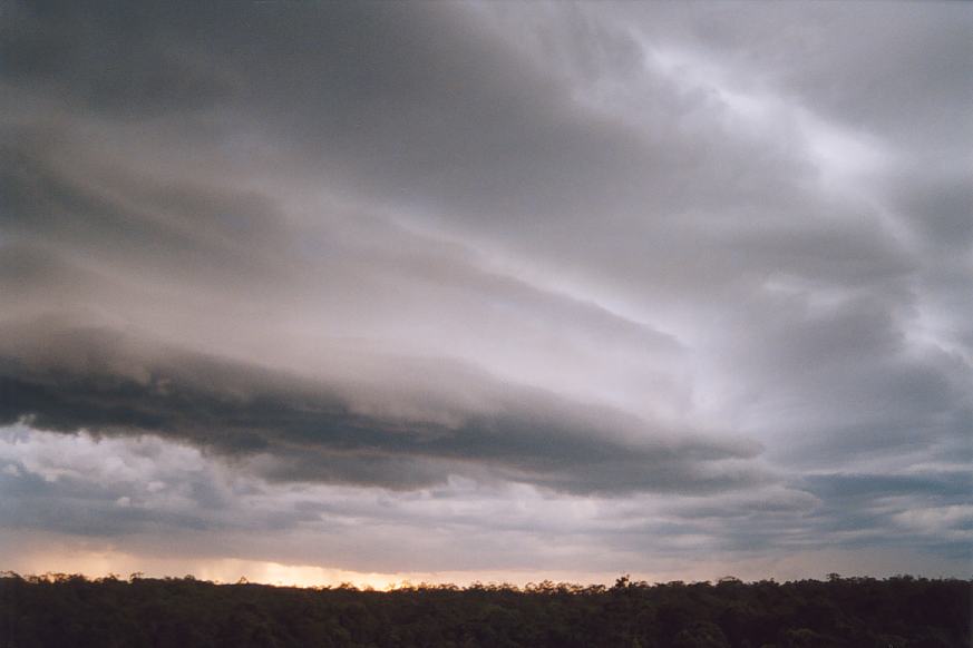 shelfcloud shelf_cloud : N of Karuah, NSW   20 March 2003