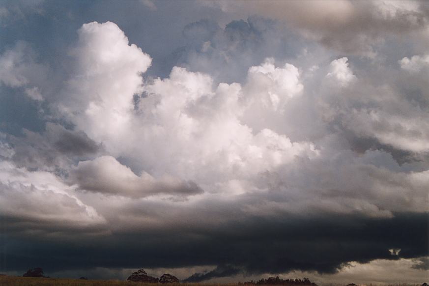 cumulonimbus thunderstorm_base : Ulong, NSW   21 March 2003