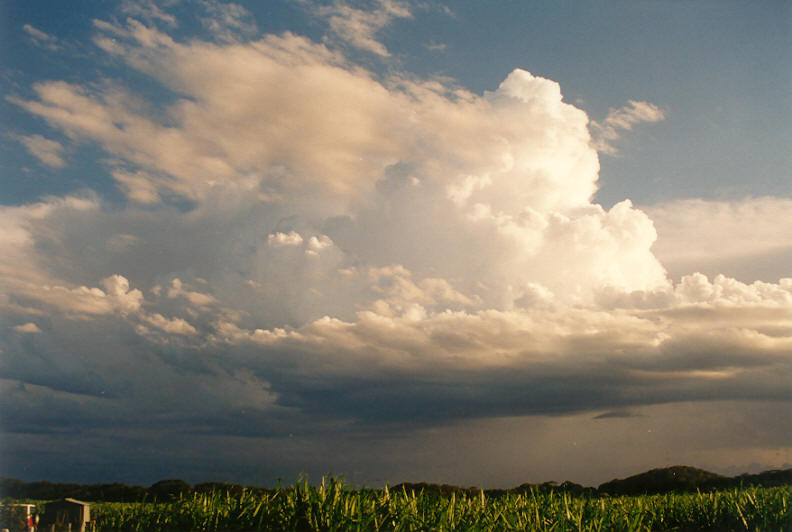 thunderstorm cumulonimbus_calvus : Wardell, NSW   22 March 2003