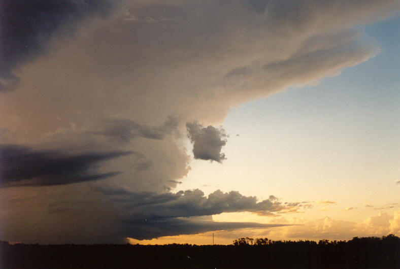 thunderstorm cumulonimbus_incus : Coraki, NSW   22 March 2003