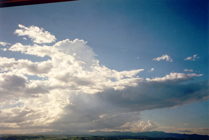 thunderstorm cumulonimbus_calvus : McLeans Ridges, NSW   22 March 2003