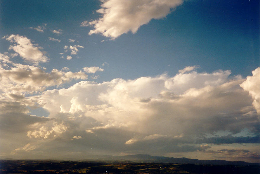 favourites michael_bath : McLeans Ridges, NSW   22 March 2003