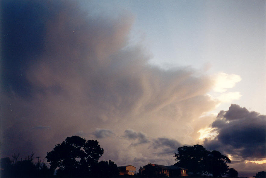 mammatus mammatus_cloud : McLeans Ridges, NSW   22 March 2003