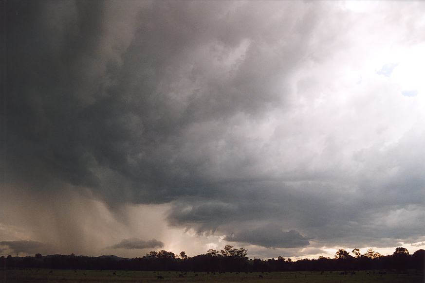 raincascade precipitation_cascade : Warrell Creek, NSW   30 March 2003