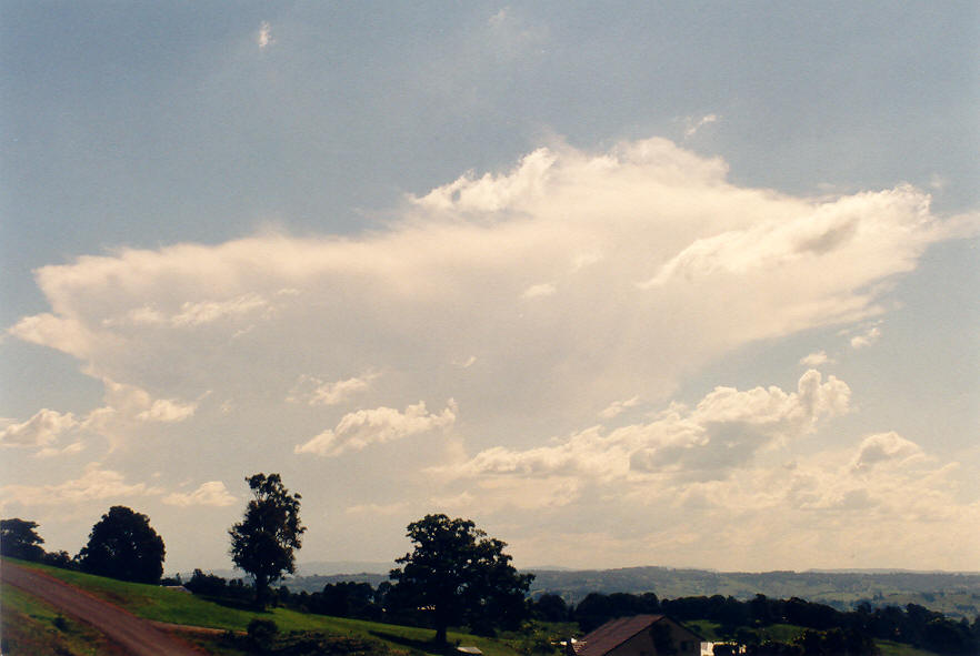 anvil thunderstorm_anvils : McLeans Ridges, NSW   30 March 2003