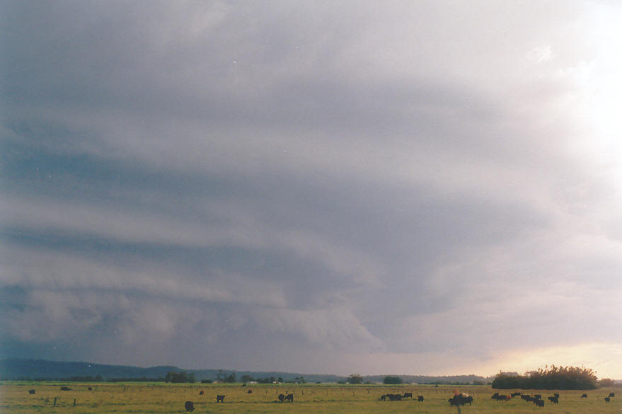 shelfcloud shelf_cloud : Woodburn, NSW   30 March 2003