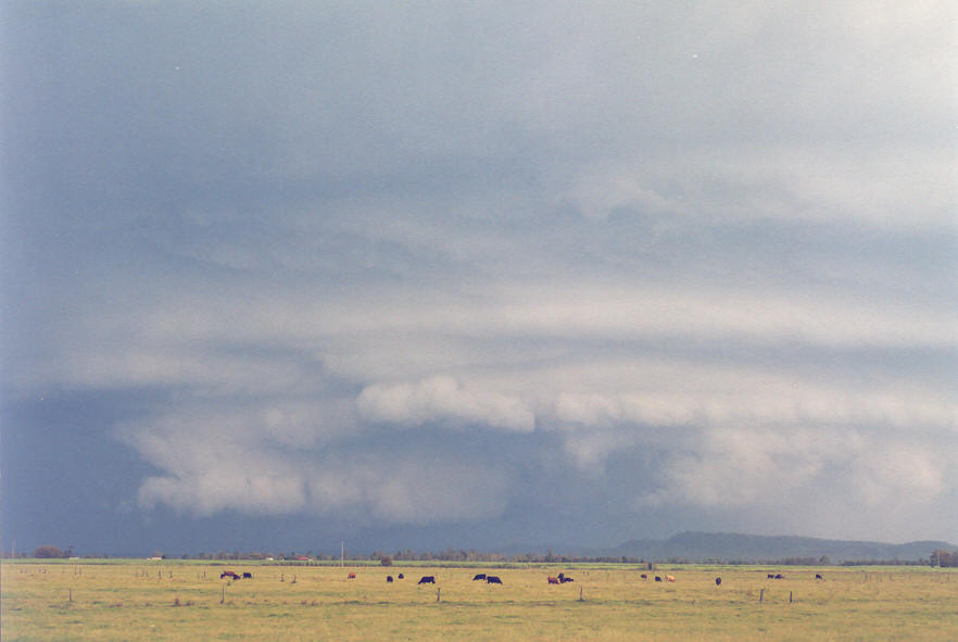 cumulonimbus thunderstorm_base : Woodburn, NSW   30 March 2003