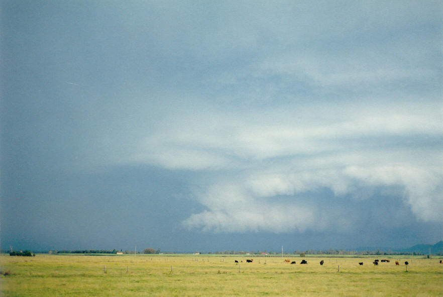 cumulonimbus thunderstorm_base : Woodburn, NSW   30 March 2003