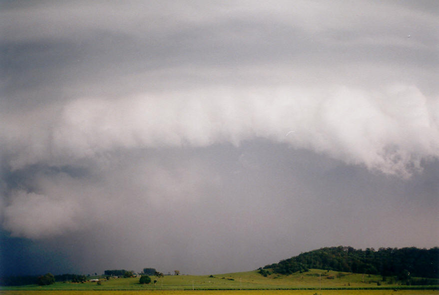 cumulonimbus thunderstorm_base : near Coraki, NSW   30 March 2003