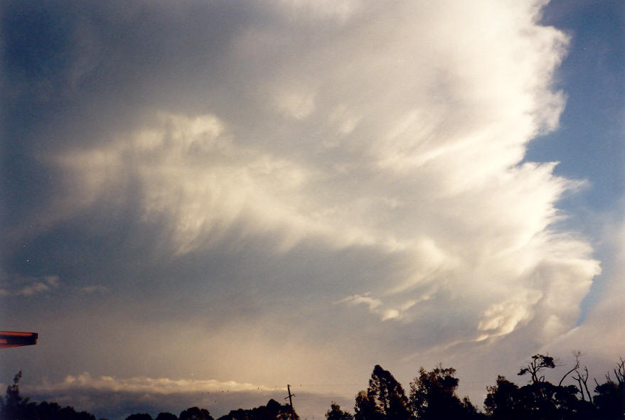 anvil thunderstorm_anvils : McLeans Ridges, NSW   30 March 2003