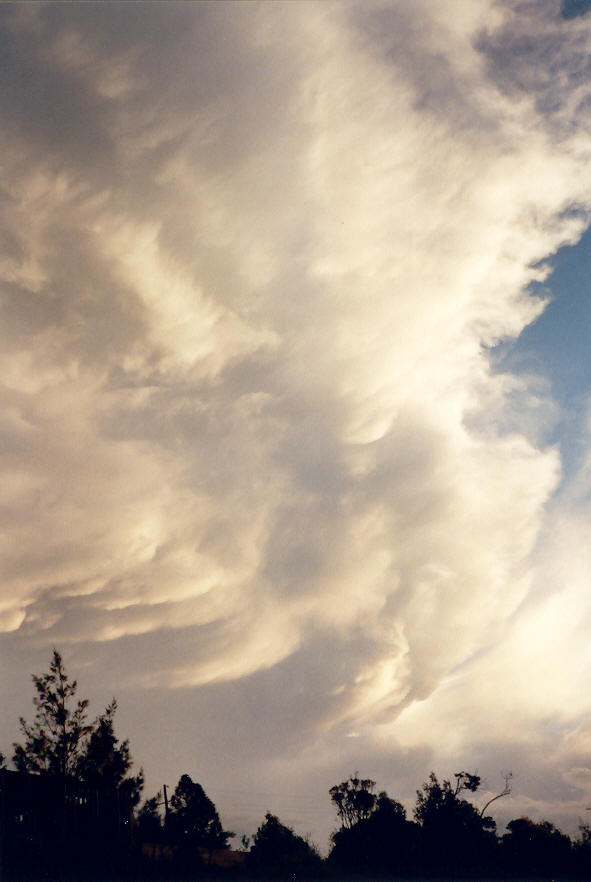 anvil thunderstorm_anvils : McLeans Ridges, NSW   30 March 2003