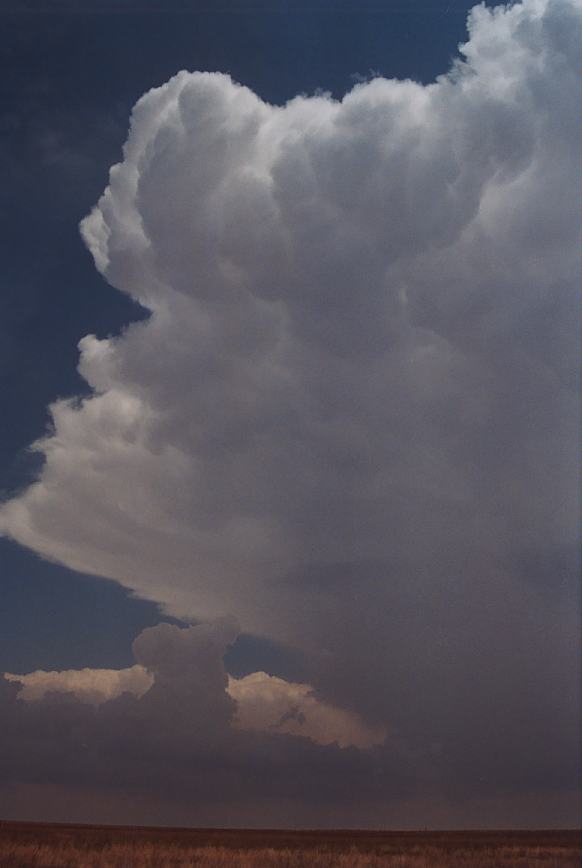 thunderstorm cumulonimbus_incus : Earth, Texas, USA   3 June 2003