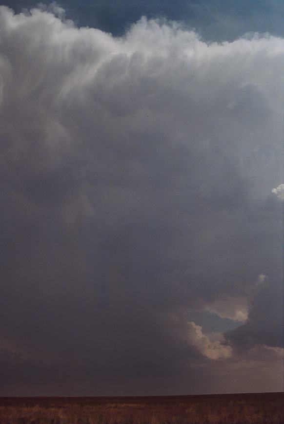 thunderstorm cumulonimbus_incus : Earth, Texas, USA   3 June 2003